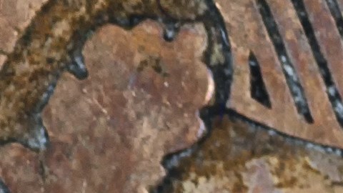 numismatica-moneda-cabeza-de-indio