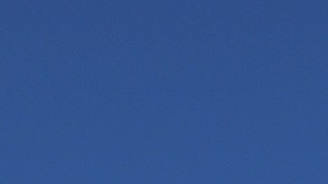 Dollar Tree tiene variedad de opciones en ofertas imperdibles