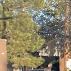 Agentes de ICE durante el arresto de uno de los miembros de la pandilla Tren de Aragua en Aurora, Colorado.