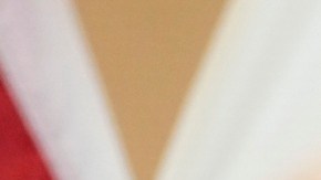 Florida: gobernador creó versión estatal del DOGE para eliminar más de 700 puestos