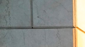 Trump despidió a empleados de FEMA por pagar "hoteles de lujo" para migrantes en Nueva York