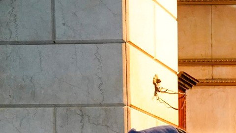 Trump despidió a empleados de FEMA por pagar "hoteles de lujo" para migrantes en Nueva York