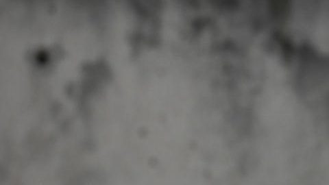 El expresidente de la Federación Española de Fútbol (RFEF) Luis Rubiales abandona la Audiencia Nacional en San Fernando de Henares donde arrancó el juicio por el beso que Rubiales dio a la jugadora Jenni Hermoso tras la victoria del Mundial en Sídney 2023.