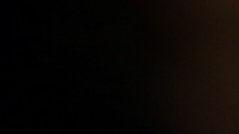 seguro-social-5108-dolares-febrero-2025