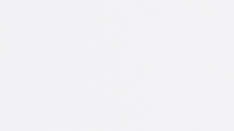 seguro-social-970-dolares