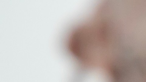 seguro-social-discapacitados-febrero-2025