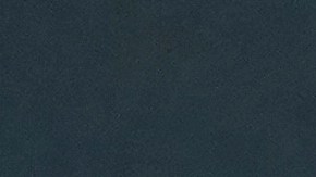 Selena también reiteró su compromiso con la película y el trabajo realizado.