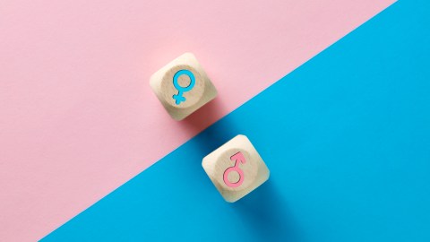 Male,And,Female,Sex,Icons,On,Wooden,Cubes,On,Pink