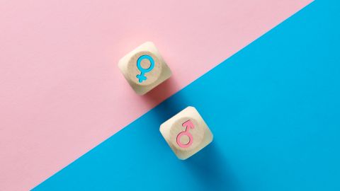 Male,And,Female,Sex,Icons,On,Wooden,Cubes,On,Pink