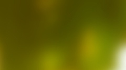 Imagina a una semilla con todo el potencial para convertirse en un árbol majestuoso; si la plantas en tierra árida, sin agua ni sol, su destino será incierto.