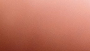 Los inmigrantes deben estar informados.