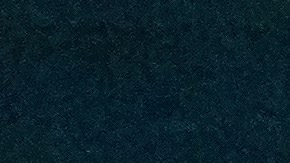 Durante su larga estadía bajo el agua, el científico trató de establecer un hábitat humano y cómodo, cortando parcialmente la conexión con el mundo exterior.