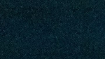 Durante su larga estadía bajo el agua, el científico trató de establecer un hábitat humano y cómodo, cortando parcialmente la conexión con el mundo exterior.