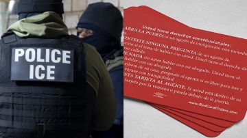 Conozca la tarjeta roja que podría "salvar" a los migrantes durante redadas de ICE