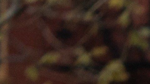 Defensores de la tasa de congestión en una manifestación de 2023, junto a la gobernadora Kathy Hochul.