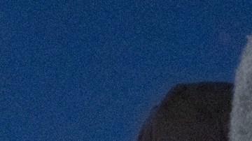 El zar de la frontera de Trump no está contento con el número de migrantes detenidos