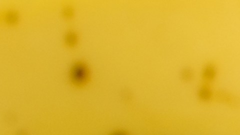 Aprende a hacer una torta con tan solo 3 ingredientes y libre de azúcar.