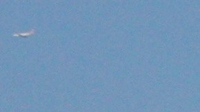 trabajo-aviador-delta-ir-lines