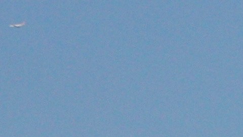trabajo-aviador-delta-ir-lines