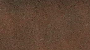 Venezuela en la Serie del Caribe.