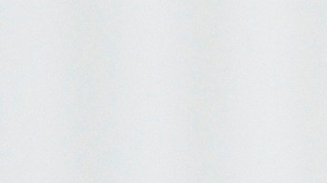 Vladimir Putin afirmó que Donald Trump puede visitar Rusia cuando quiera