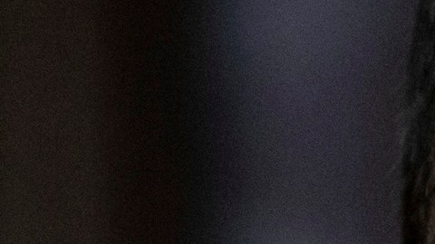 Zelenski advirtió que retirada de tropas de Ucrania repetiría escenario afgano