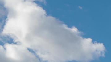 ¿Cuándo reactivará EE. UU. los vuelos de deportación a Venezuela?