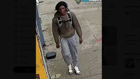 Sospechoso de matar a un adolescente en Queens, NYC.