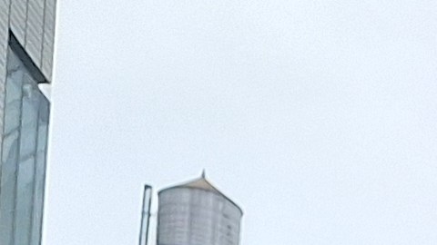 Para conmemorar el Mes de la Mujer la Iniciativa de Investigación de la Migración (IRI) puso en foco los abismos y los grandes dramas que debe enfrentar este segmento poblacional.