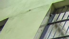 Maduro afirmó que los migrantes deportados de EE.UU. a El Salvador están secuestrados.