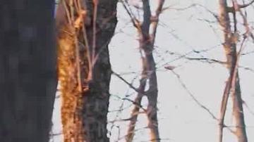 "Mi prioridad ha sido y sigue siendo salvar las vidas de los soldados ucranianos", dijo el comandante en Jefe de las Fuerzas Armadas de Ucrania.