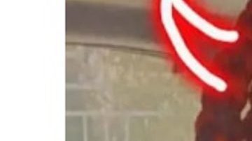 Sunshyne Davis: madre de bebé que murió abandonado en un hospital en NYC.