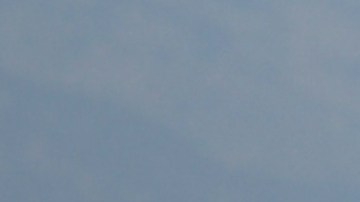 En el avión viajaban 172 pasajeros y 6 tripulantes, no se reportaron heridos de gravedad.