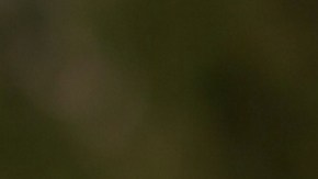 El sheriff de Broward no compartió la identidad de las víctimas.