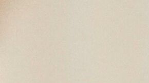 Trump le da su respaldo a su equipo y no considera despedir a nadie.