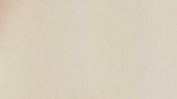 Trump le da su respaldo a su equipo y no considera despedir a nadie.