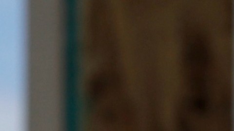 Arnoldo Oswaldo Vargas Samayoa, de Guatemala, ingresó al país sin papeles y dirigía una red de narcotráfico.