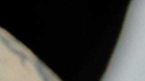 Los tatuajes no son fundamentales para el Tren de Aragua, ni significan que la persona pertenezca a una banda criminal.