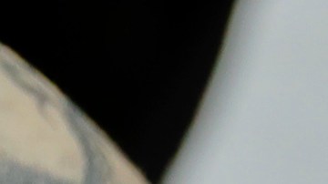 Los tatuajes no son fundamentales para el Tren de Aragua, ni significan que la persona pertenezca a una banda criminal.