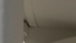 Trump ofreció una rueda de prensa donde mostró uno de los autos Tesla, que podría comprar como apoyo a Musk.