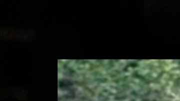 Trump mostró la orden ejecutiva durante su discurso en el Congreso.