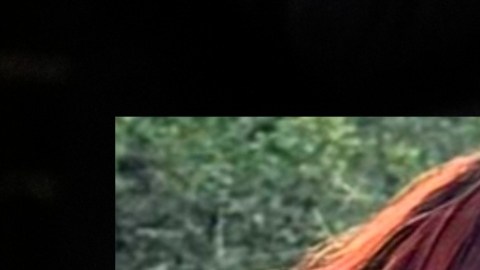 Trump mostró la orden ejecutiva durante su discurso en el Congreso.