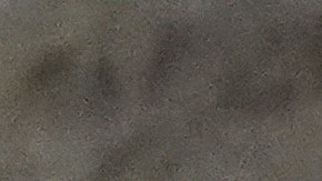 Donald Trump da su primer discurso a la nación en el Congreso.