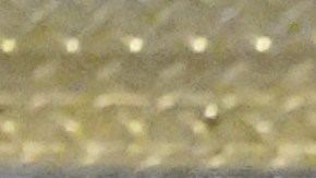 La orden ejecutiva firmada por Trump fue bloqueada por una jueza.