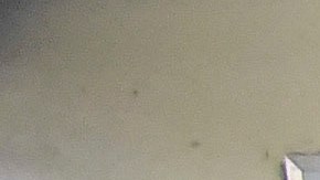 Primaria demócrata del 2016 en Puerto Rico