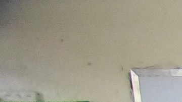 Primaria demócrata del 2016 en Puerto Rico