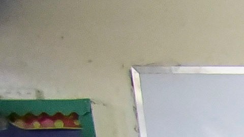 Primaria demócrata del 2016 en Puerto Rico