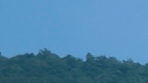 Cayo Verdiales en Vieques, Puerto Rico.