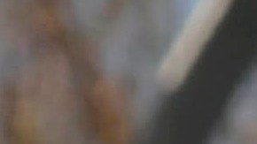 Presidente Donald Trump durante su visita a Puerto Rico en el 2017