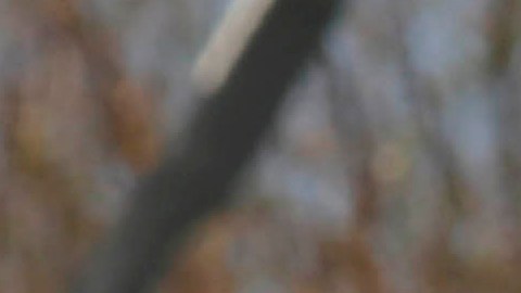 Presidente Donald Trump durante su visita a Puerto Rico en el 2017